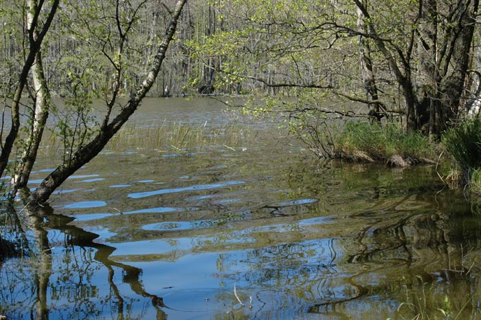 Wzdu polskiego wybrzea - maj 2007