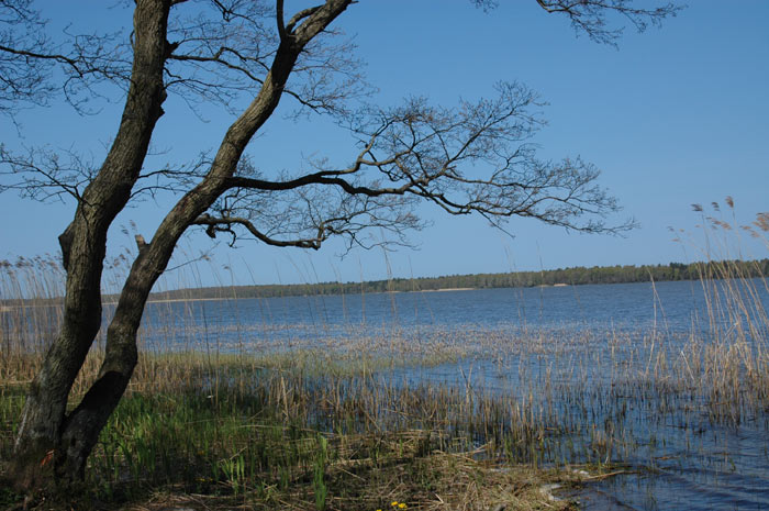 Wzdu polskiego wybrzea - maj 2007