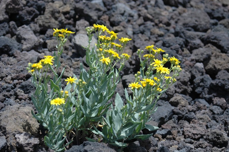 Sycylia, Sardynia, Korsyka - podr rowerowa