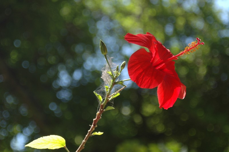 Sycylia, Sardynia, Korsyka - podr rowerowa