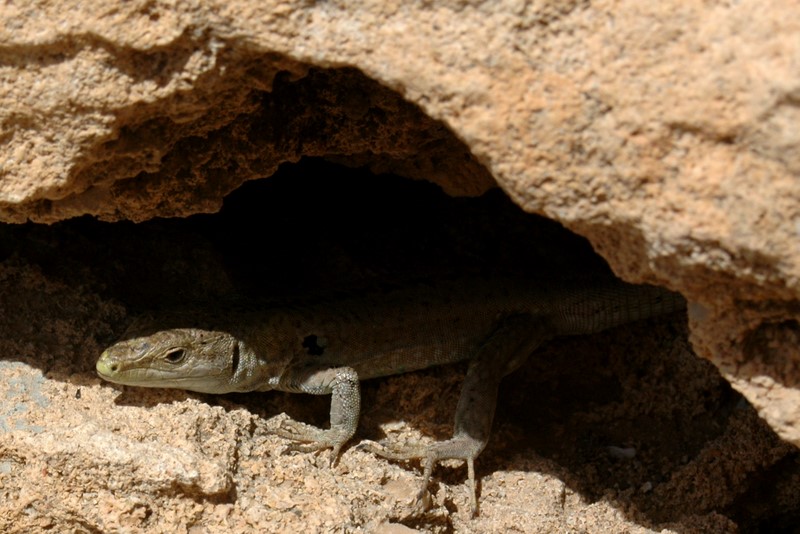 Sycylia, Sardynia, Korsyka - podr rowerowa